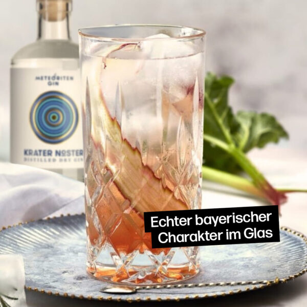 Krater Noster Bavarian Gin mit echtem bayrischen Charakter im Glas